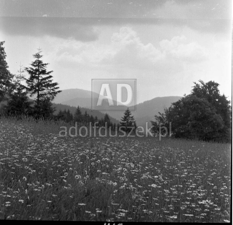 Bieszczady-078