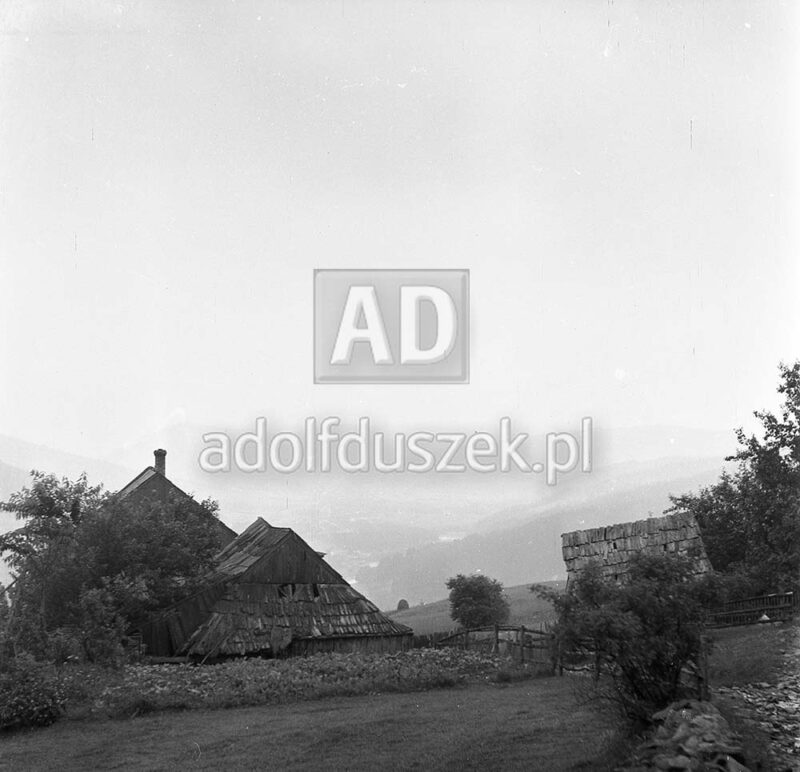 Bieszczady-101