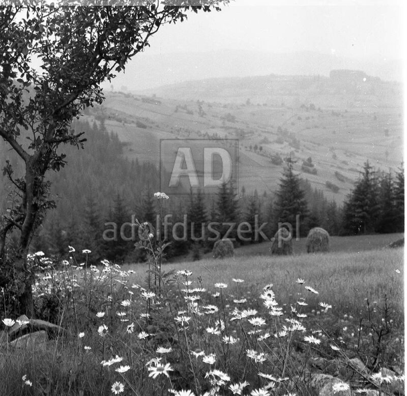 Bieszczady-102
