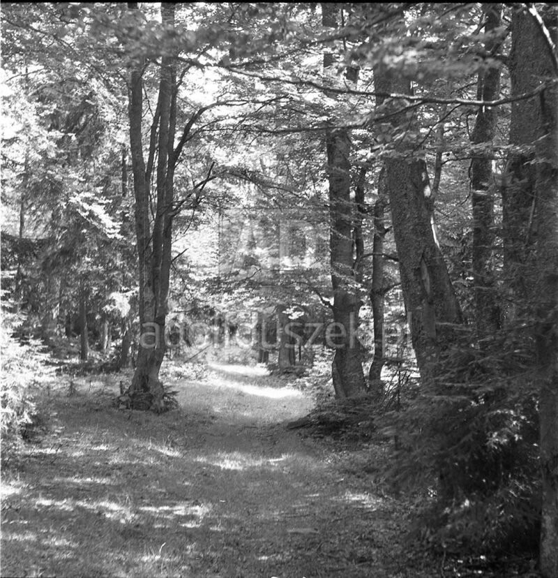 Bieszczady-108