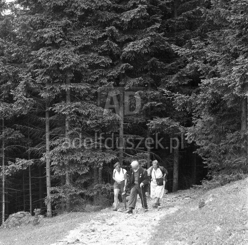 Bieszczady-110