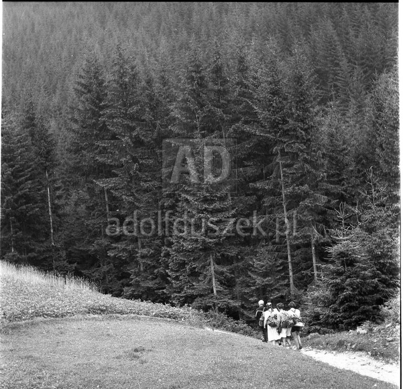 Bieszczady-112