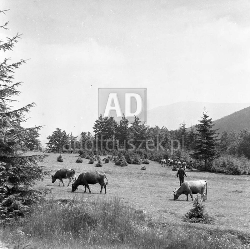 Bieszczady-113