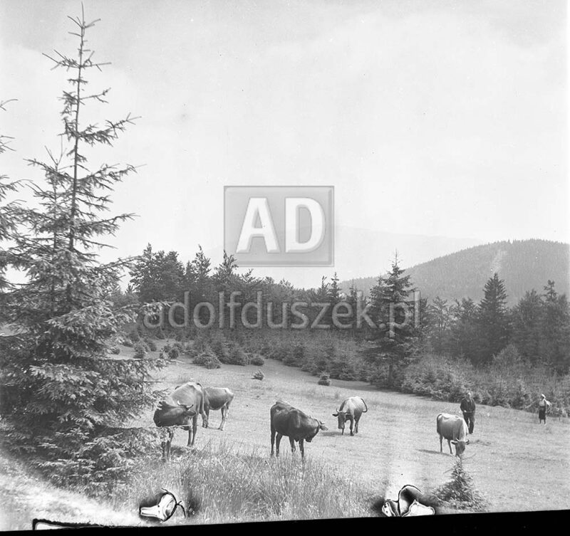 Bieszczady-115