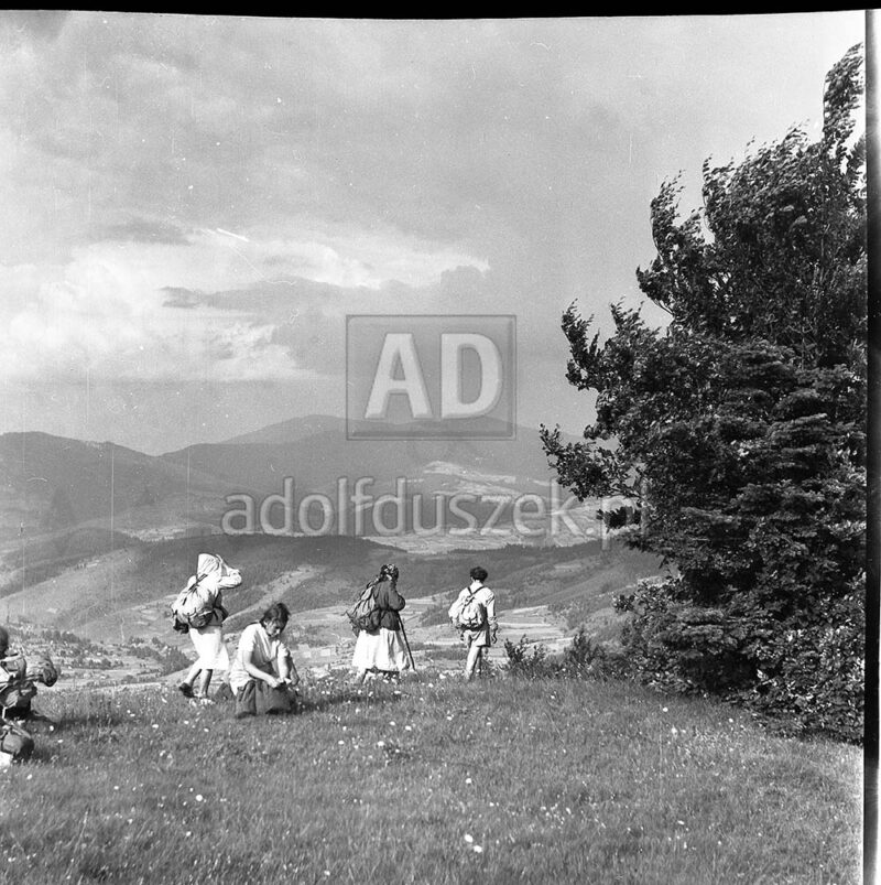 Bieszczady-131