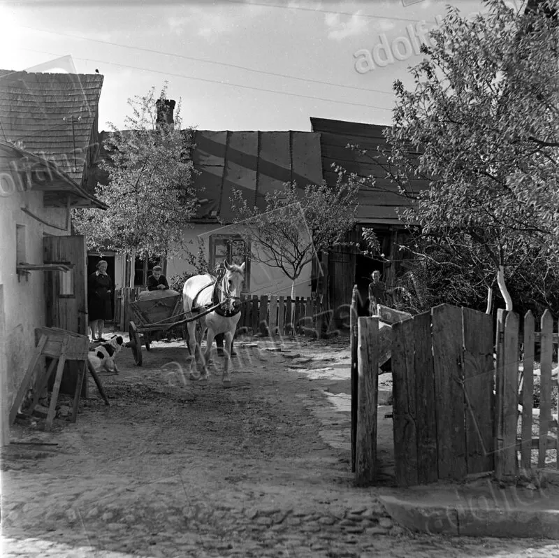 Unikalne zdjęcia autorstwa Adolfa Duszka z Kazimierza Dolnego w 1956 roku | album 1 1956-Kazimierz-03-014