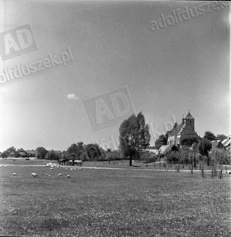 Unikalne zdjęcia autorstwa Adolfa Duszka z Kazimierza Dolnego w 1956 roku | album 1 1956-Kazimierz-03-027