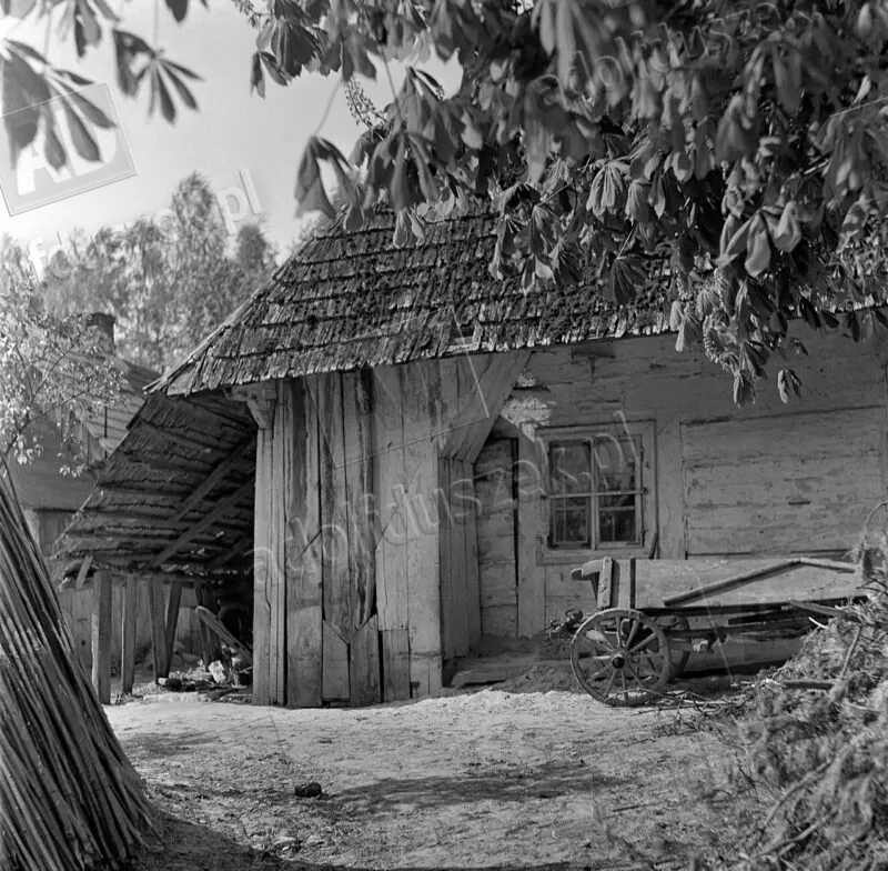 Unikalne zdjęcia autorstwa Adolfa Duszka z Kazimierza Dolnego w 1956 roku | album 1 1956-Kazimierz-03-035