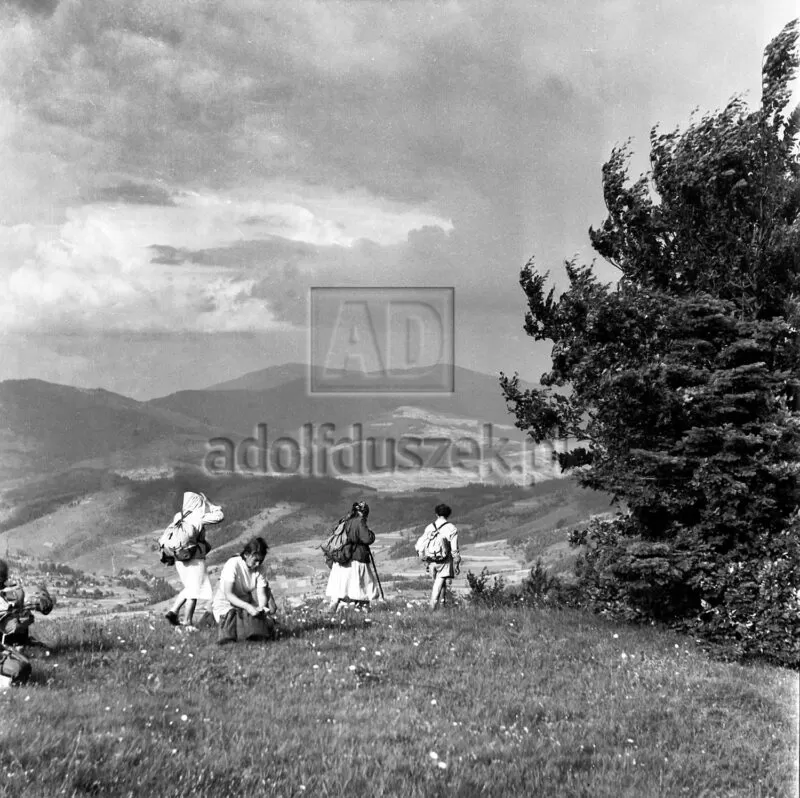 Bieszczady-131